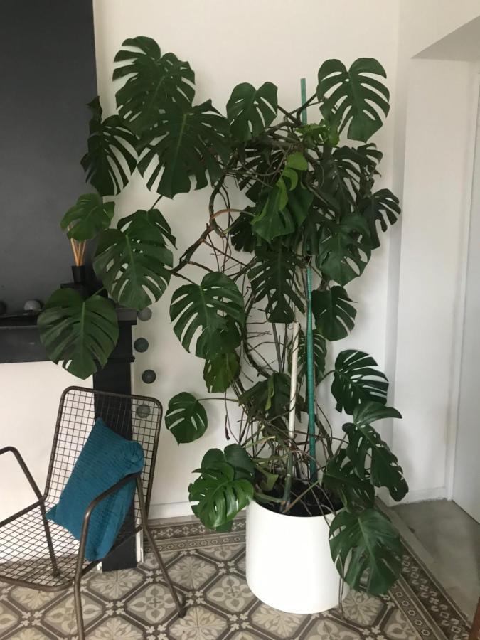 Le Marais Apartment Annoeullin Bagian luar foto